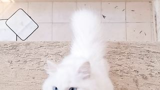 قمر full screen ???? جتلها من كل حتة ????