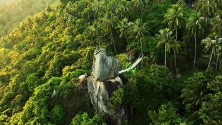 غابات الأمازون -Amazon forests