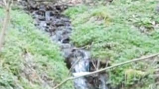 Beautiful nature