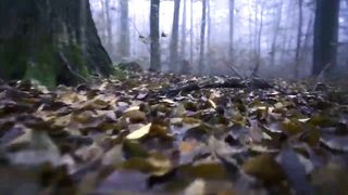 Beautiful landscapes