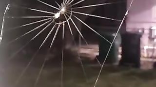 Nature is the best engineer ????️