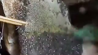 Harvesting Honey in the wild, and still being friends to the bees.