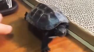 so cute