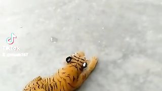 اضحك ولا تنسا أن تشترك
