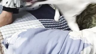 My pet
