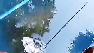 Ciri khas kolam pembenihan ikan lele biasanya daun pisang, apa kalian tau fungsinya❓