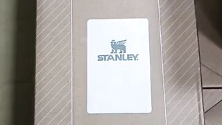 Stanley Quencher vacuum Tumbler stock