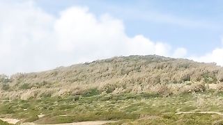 La baie ouest chetaibi