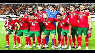 Lions d'atlas