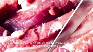 Meat quality detection: factors affecting taste, texture and freshness