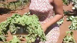 Don't you like the crops...