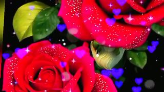 good morning