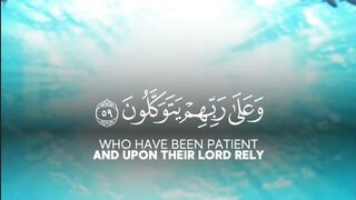 ما شاء الله