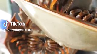 Seafood