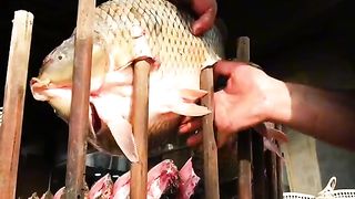 Fish dish