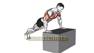Lower chest exercise at home