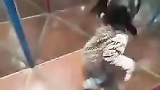 واو انظر بعينك