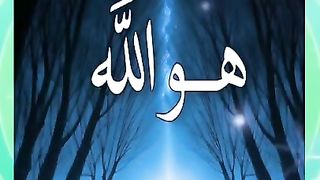 السند الوحيد