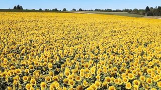 Scientific miracles in the Qur’an and Sunnah 23