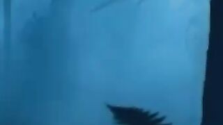 Tomcrose fight scene