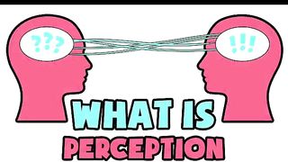 The Perception