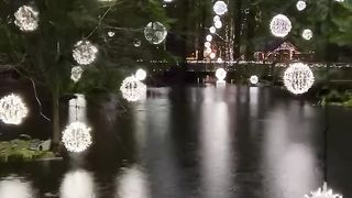Capilano Park, Canada ????????  Tourism????