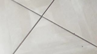 Os três guardião