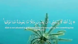 " هَٰذَا خَلْقُ اللَّهِ فَأَرُونِي مَاذَا خَلَقَ الَّذِينَ مِن دُونِهِ ۚ