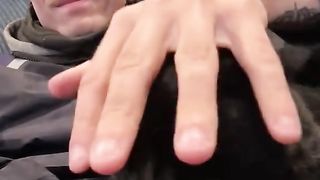 Funny black cats