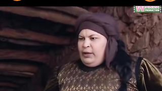 زهر ومريشة