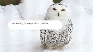 Muslim husbands be like.... | Halal meme | Funny memes