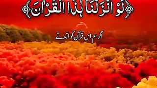 Beautlfull video Qurani verses shorts Video share plz subscribe and watch my video  pageforyou_ trending video 100 #unfrezzmyaccount #pageforyou_
