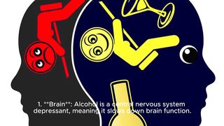 Revealing the effect: How alcohol affects the internal organs