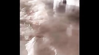 Best Funny Videos Compilation 3