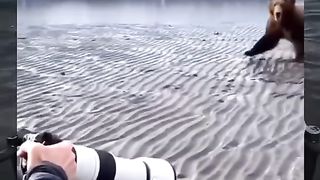 #funny