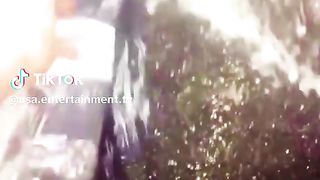 Entertainment