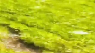 أشكال ومناظر روعة