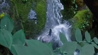 العصفور الحميل