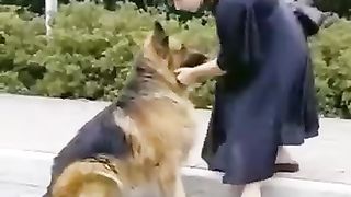 A dog saved à cat caught in drain