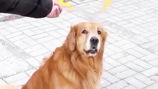 Best acting Oscar award ???????? in the world ????