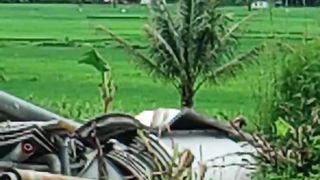 Pesawahan indah