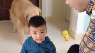 A DOG FULL OF MERCY AND FAITHFULNESS