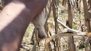 #Funny videos