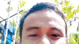 macul kebun singkong