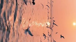 Banaras- City filled with many emotions ???? ..#varanasi #banaras #kashi #ghatsofbanaras #assighat #reelitfeelit #reelsinstagram