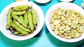 الفول الأخضر مصدرًا جيدًا للبروتين و ممتاز للنباتيين الذين يتجنبون تناول اللحوم