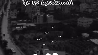 الشيخ ياسر الدوسري