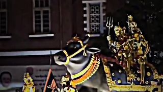 Shivratri bhole ki shaadi #shiv #mahadev #bholebaba #viral #reels