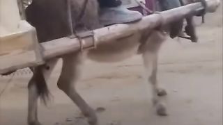 الحاجة ام الاختراع ????
