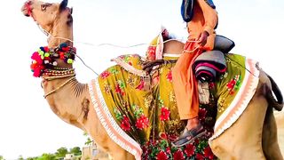 Tharparkar Sindh beautiful